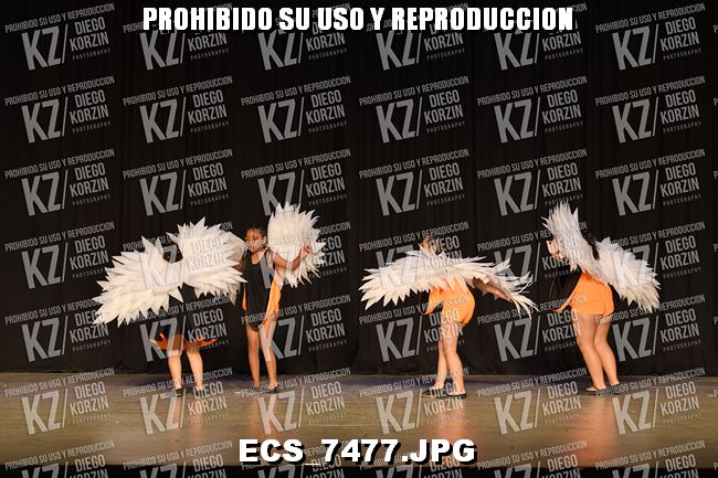 COREO 207