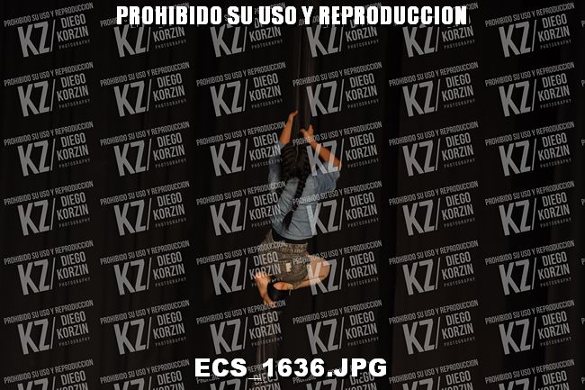 COREO 274
