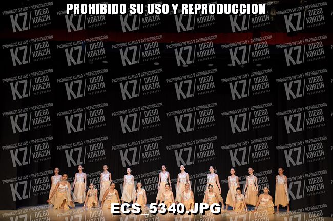COREO 239