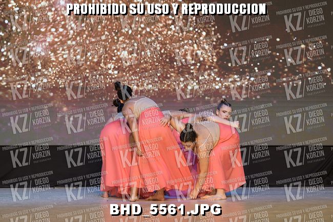 COREO P1 17