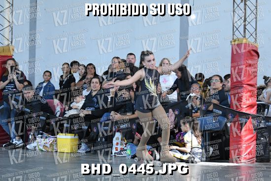 CAT 12 PATINADOR 5