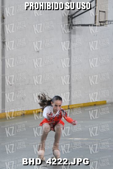 CAT 22 PATINADOR 5