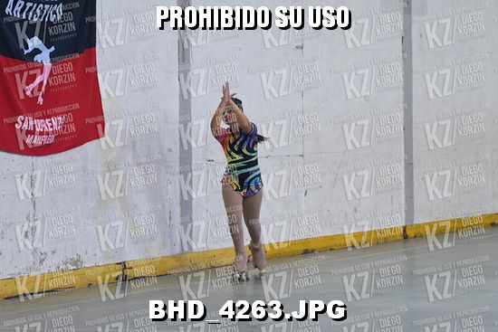 CAT 23 PATINADOR 1