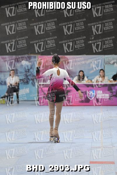 CAT 6 PATINADOR 4