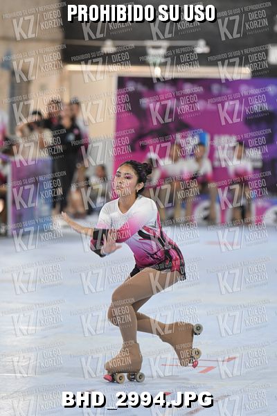 CAT 6 PATINADOR 5