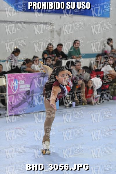 CAT 6 PATINADOR 6