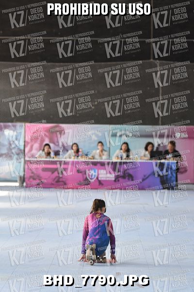 CAT 10 PATINADOR 08