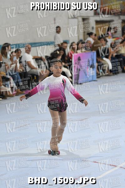 CAT 13 PATINADOR 3