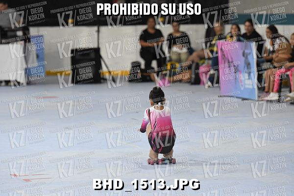CAT 13 PATINADOR 3