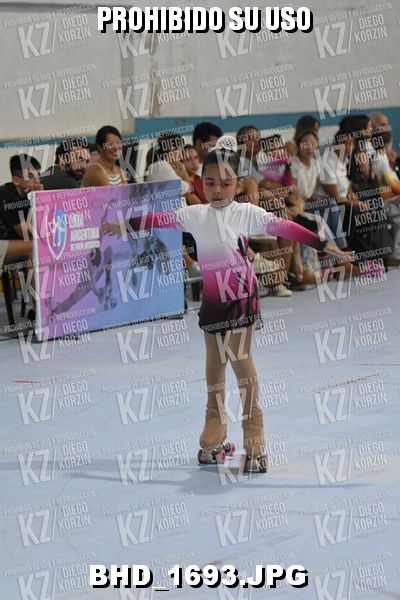 CAT 13 PATINADOR 6