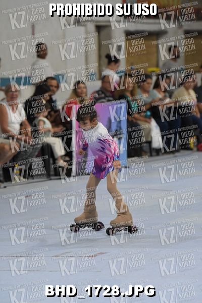 CAT 13 PATINADOR 7