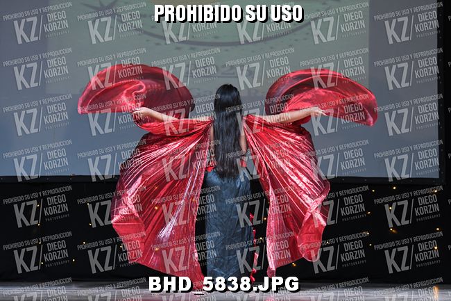 COREO 43