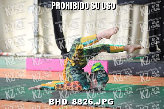 COREO 8 BIS
