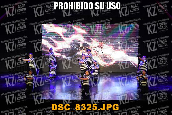 COREO 15