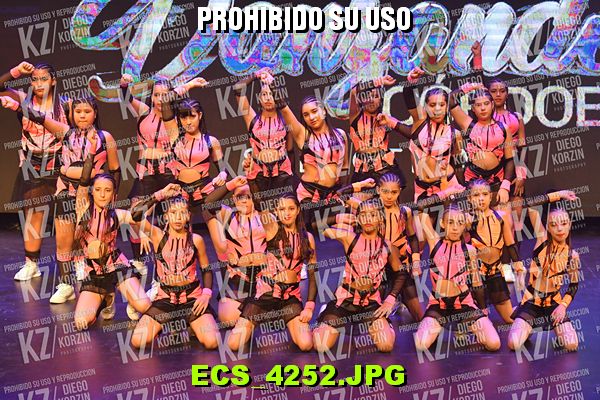 COREO 19 BIS