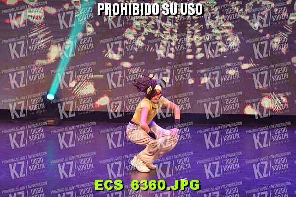 COREO 33 BIS
