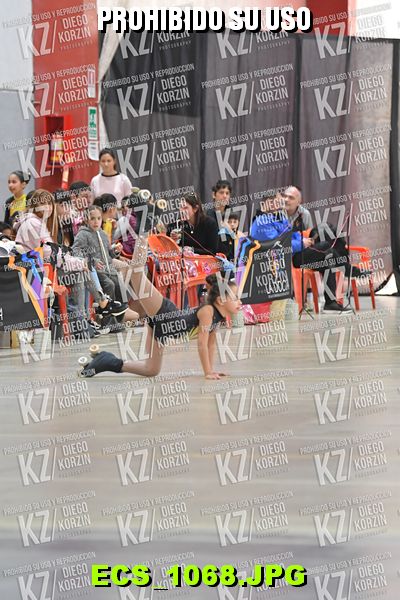 Hs 14.54 CAT 14 PATINADOR 2