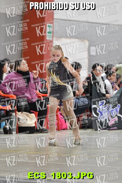 Hs 15.16 CAT 15 PATINADOR 2