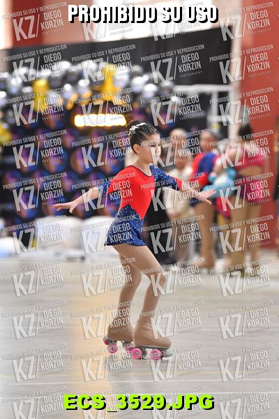 Hs 16.17 CAT 18 PATINADOR 6