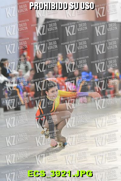 Hs 16.38 CAT 20 PATINADOR 1