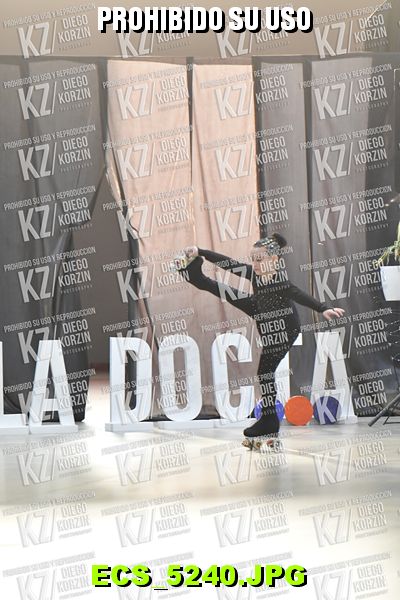 Hs 17.19 CAT 22 PATINADOR 1