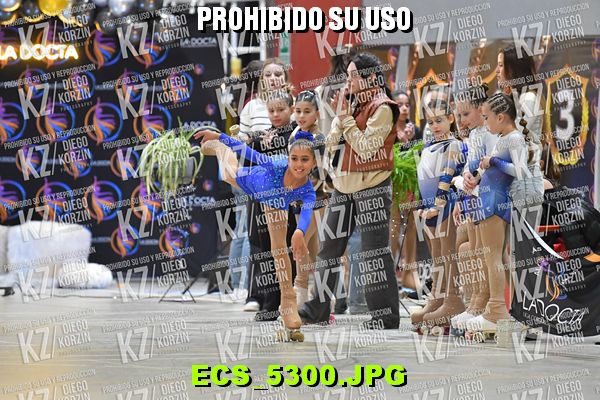 Hs 17.24 CAT 22 PATINADOR 3