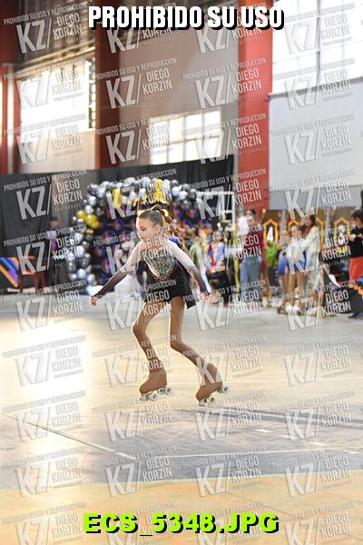 Hs 17.26 CAT 22 PATINADOR 4