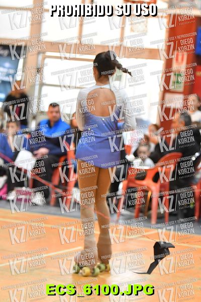 Hs 18.03 CAT 24 PATINADOR 1