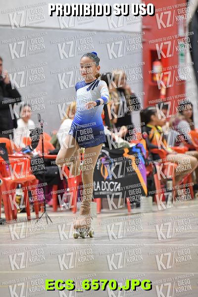 Hs 18.22 CAT 25 PATINADOR 2