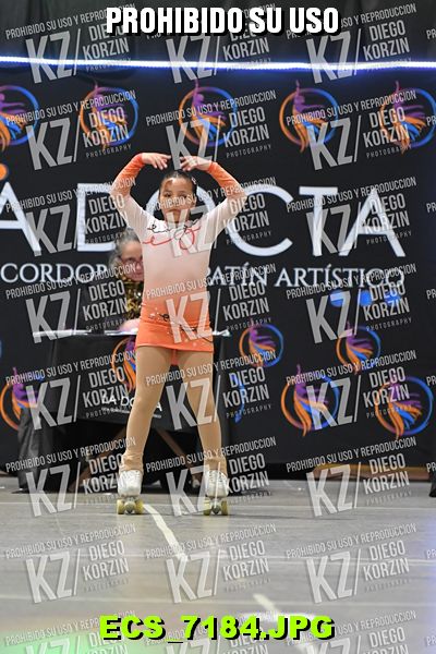 Hs 18.41 CAT 26 PATINADOR 1