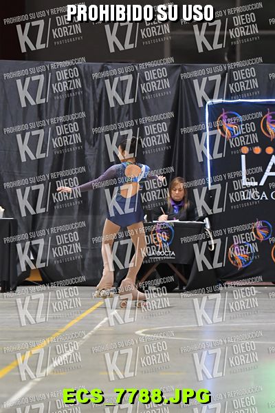 Hs 19.16 CAT 27 PATINADOR 5