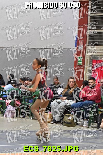Hs 19.18 CAT 27 PATINADOR 6
