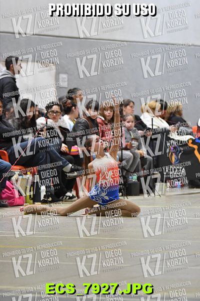 Hs 19.23 CAT 27 PATINADOR 8