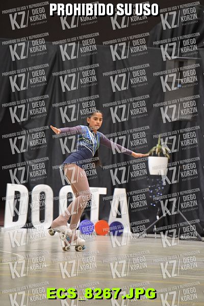 Hs 19.36 CAT 28 PATINADOR 2