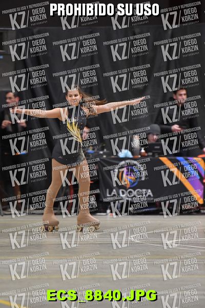 Hs 19.54 CAT 29 PATINADOR 2