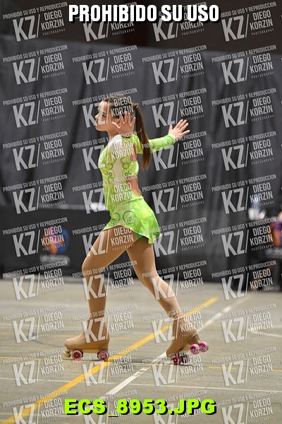 Hs 19.59 CAT 29 PATINADOR 3