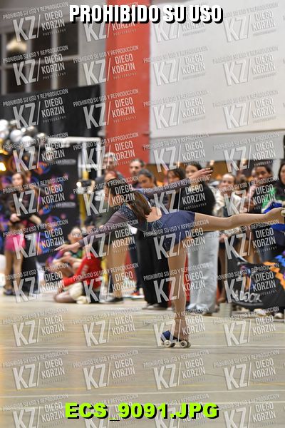 Hs 20.02 CAT 29 PATINADOR 4