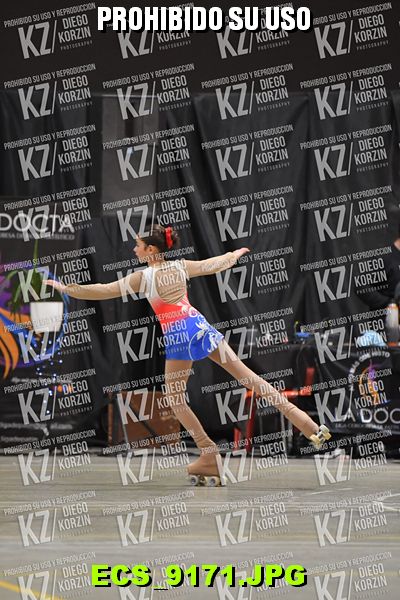 Hs 20.04 CAT 29 PATINADOR 5