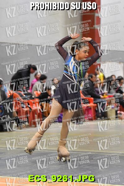 Hs 20.06 CAT 29 PATINADOR 6