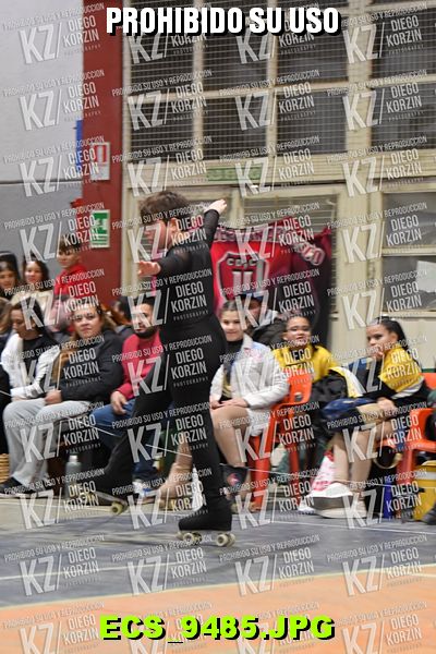 Hs 20.13 CAT 29 PATINADOR 8