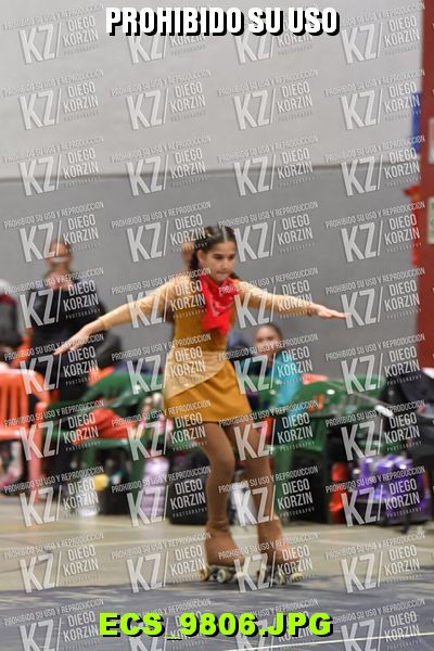 Hs 21.34 CAT 30 PATINADOR 3
