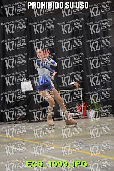 Hs 22.45 CAT 33 PATINADOR 6