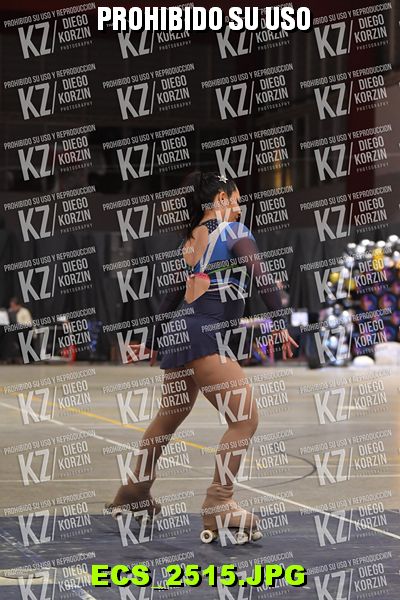 Hs 23.00 CAT 34 PATINADOR 5