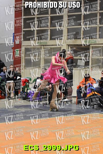 Hs 23.29 CAT 36 PATINADOR 3