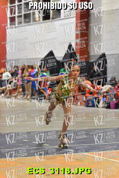 Hs 23.36 CAT 37 PATINADOR 1